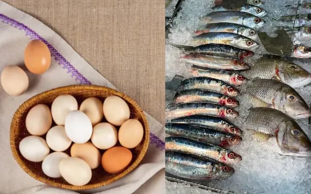 Egg Prices Soar in Coastal Karnataka Amid Fishing Ban, Surge in Demand