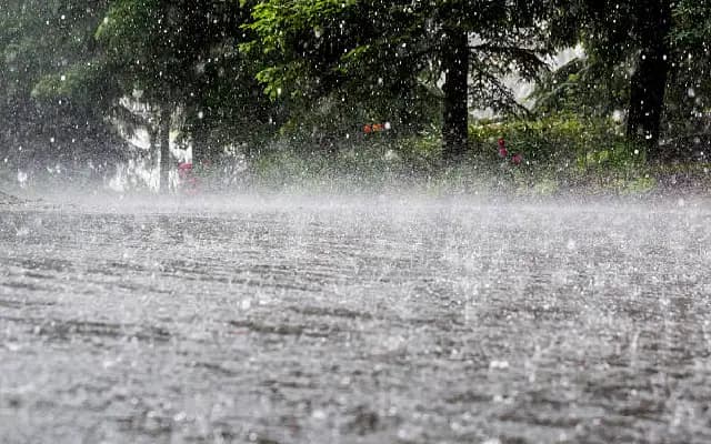 Torrential Rains Disrupt Life in DK & Udupi; School Closures, Alerts Issued