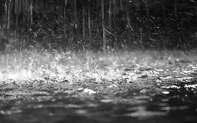 Udupi on Alert: DC Urges Swift Action Amid Excess Rainfall and Damage