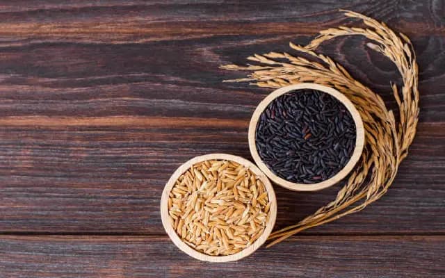 Plant Genome Saviour B K Deva Rao Urges Revival of Traditional Paddy Farming