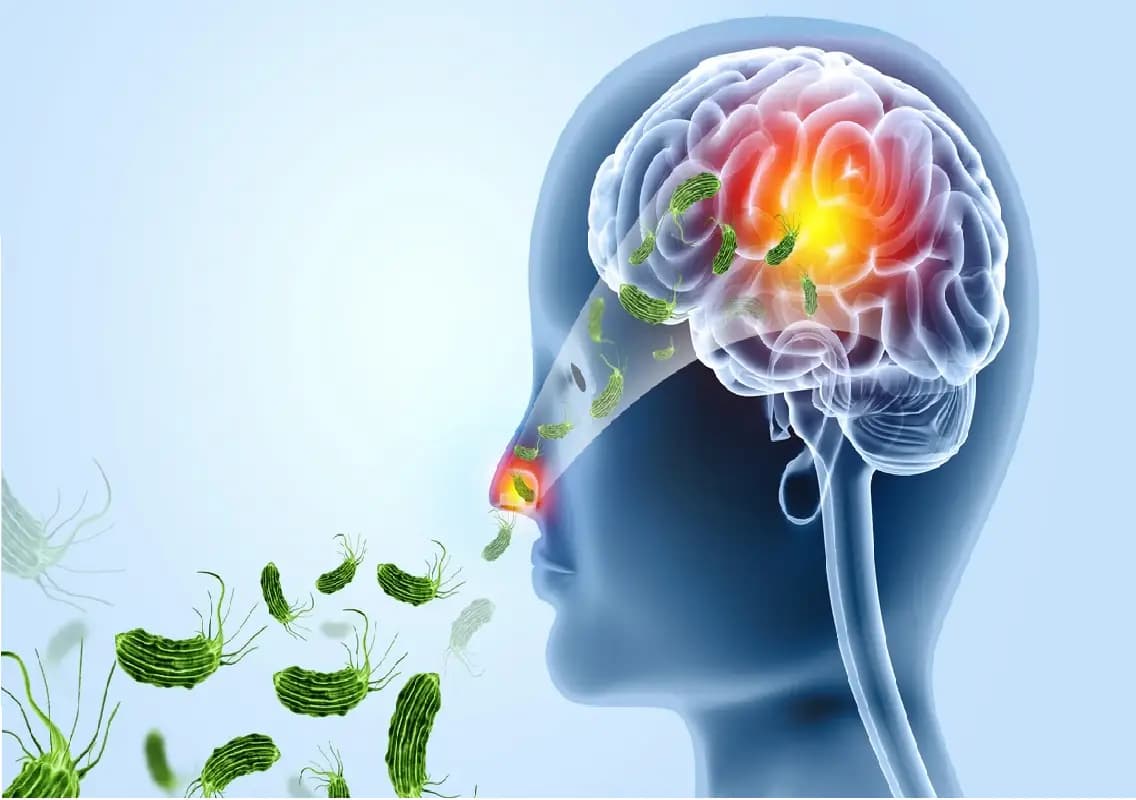‘Brain-eating amoeba’ kills 19 in Kerala this year