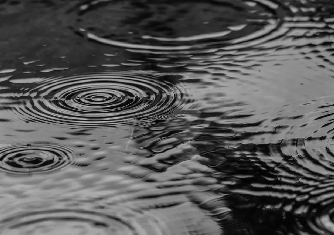 Heavy rain lashes northern India as Yamuna crosses danger mark in Delhi