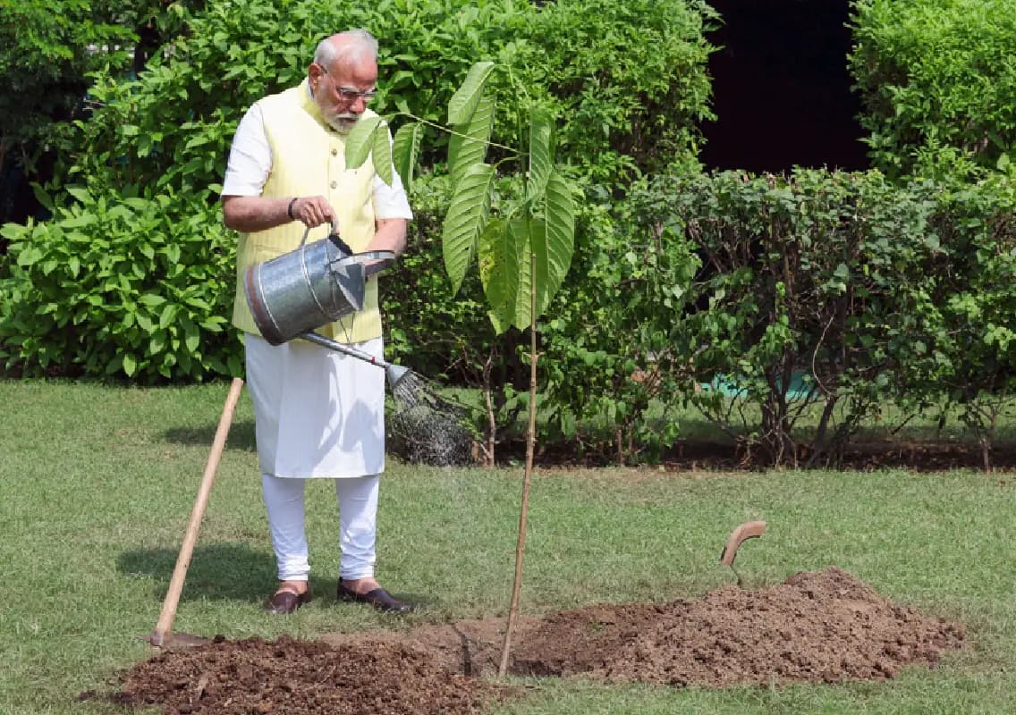 PM Modi plants Kadamb sapling gifted by King Charles III on his birthday