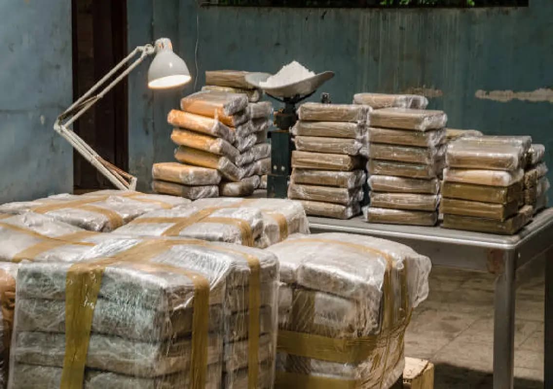 Assam police seize drugs worth Rs 12 crore in Cachar district
