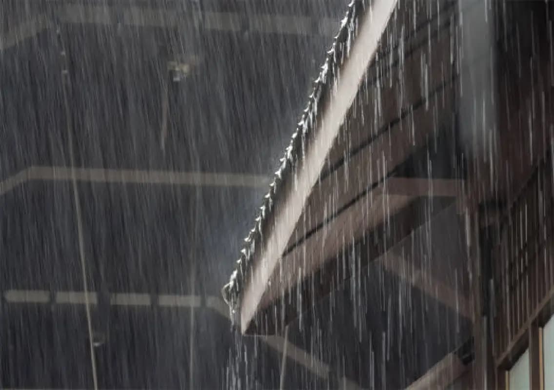 Bengaluru weather update: Rainy Saturday brings cooler air and improved AQI