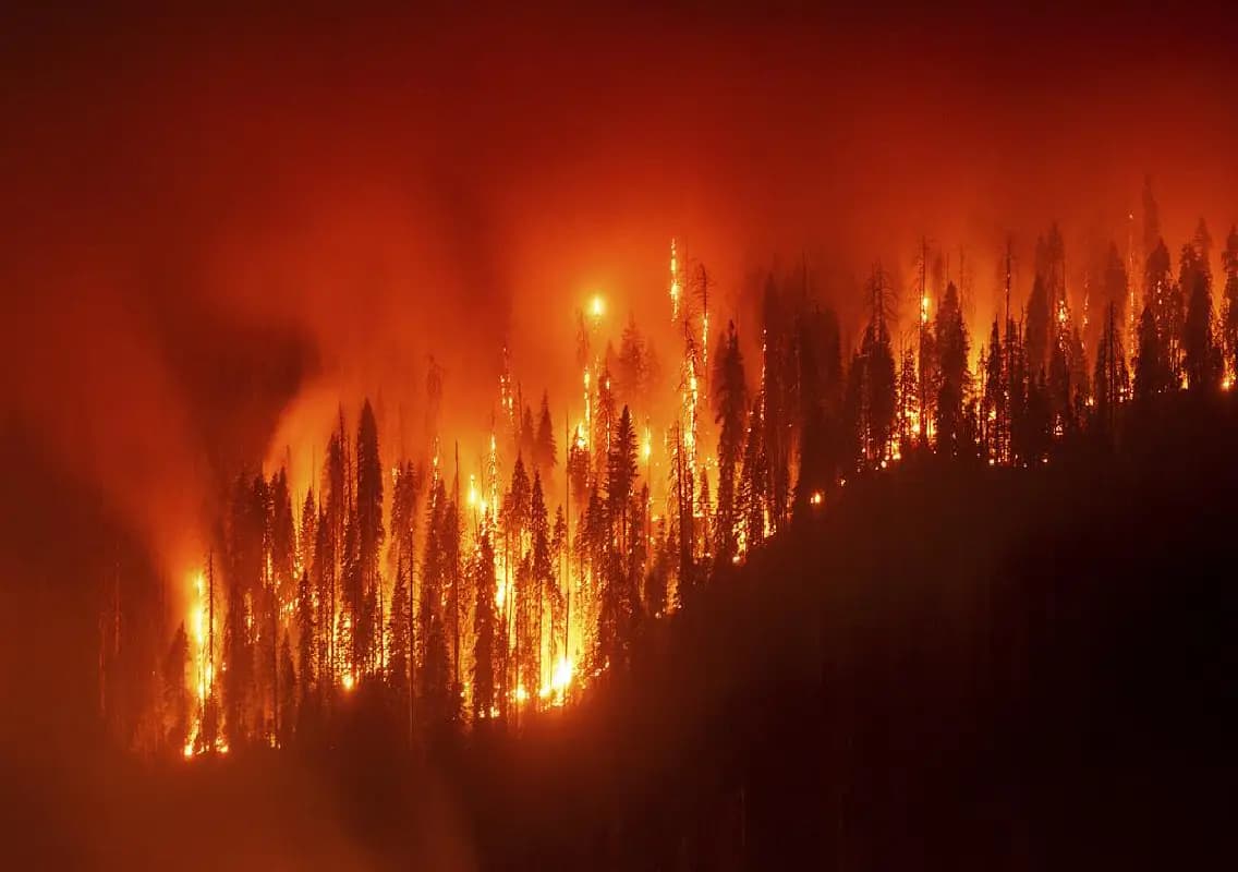 Uttar Pradesh most affected as wildfires impact 1.5 crore people in India
