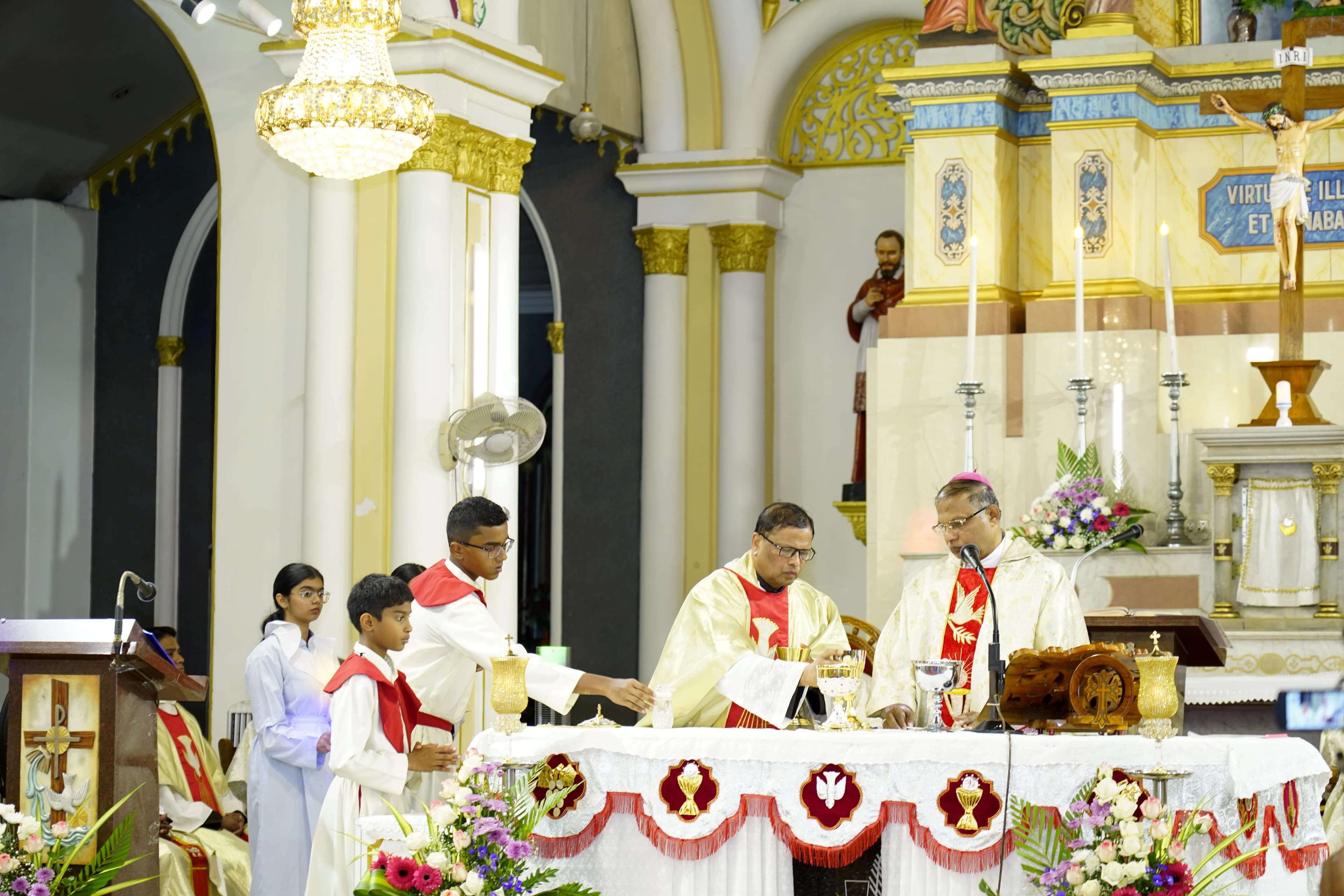 Gallery image 13