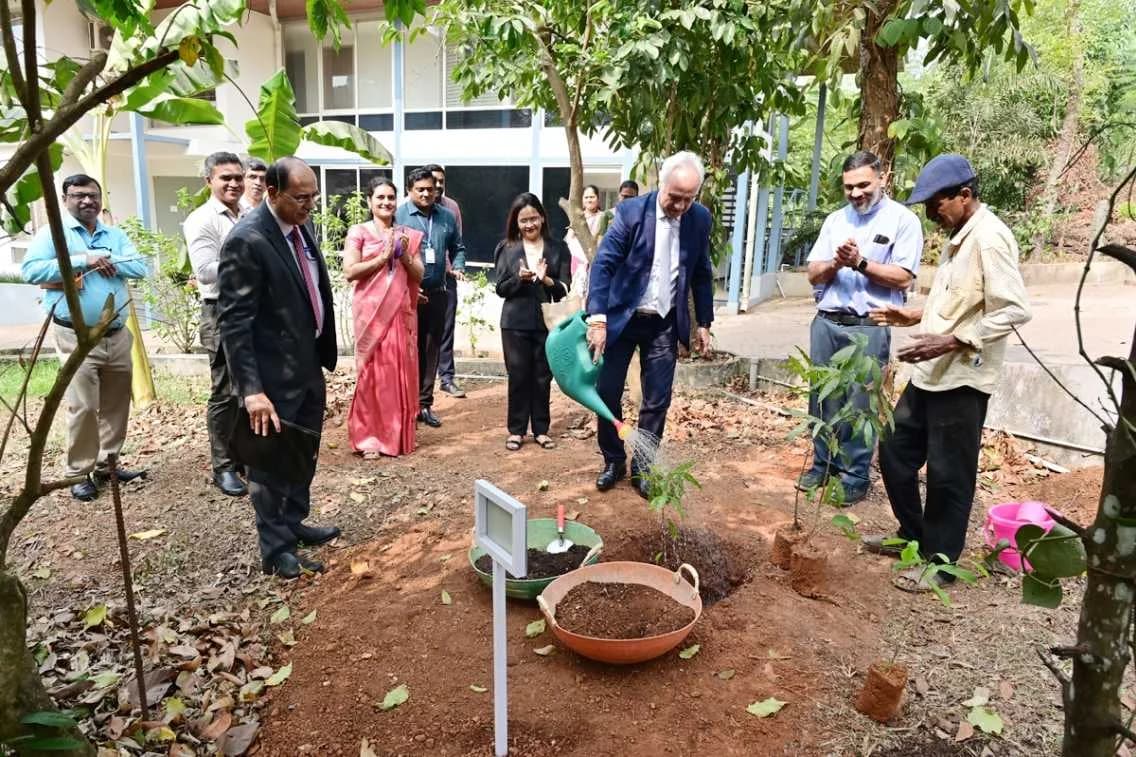 Gallery image 24