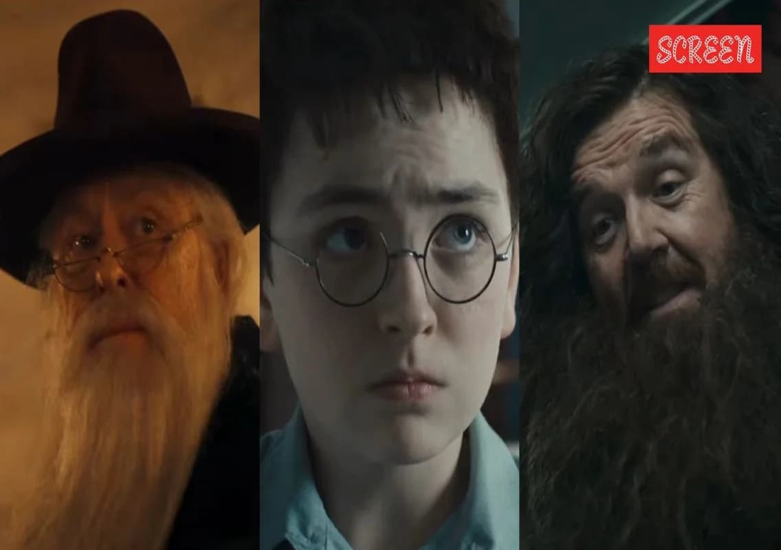 New Harry Potter HBO cast revealed
