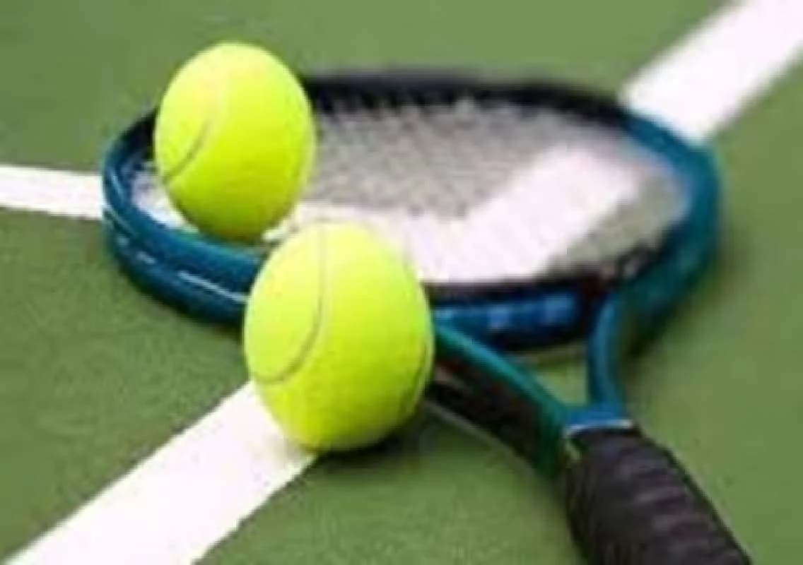 India eyes Billie Jean King Cup play-offs spot