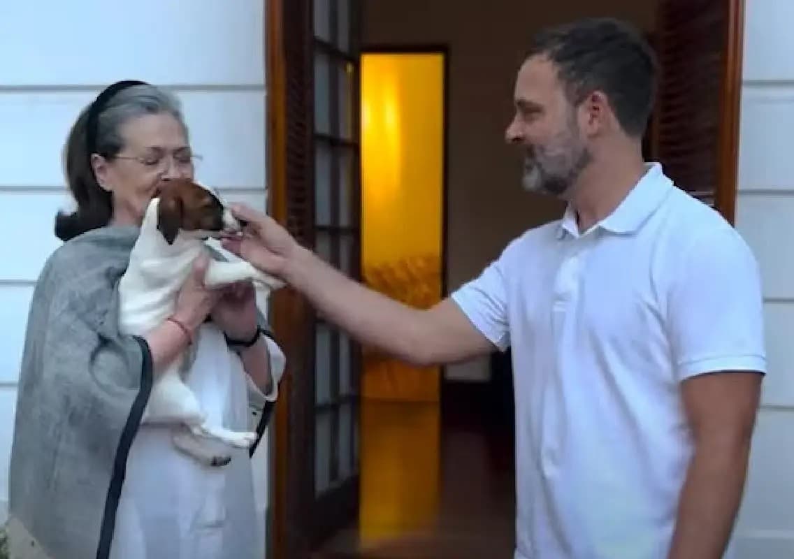 Rahul Gandhi’s message with pet dog Noorie wins hearts online