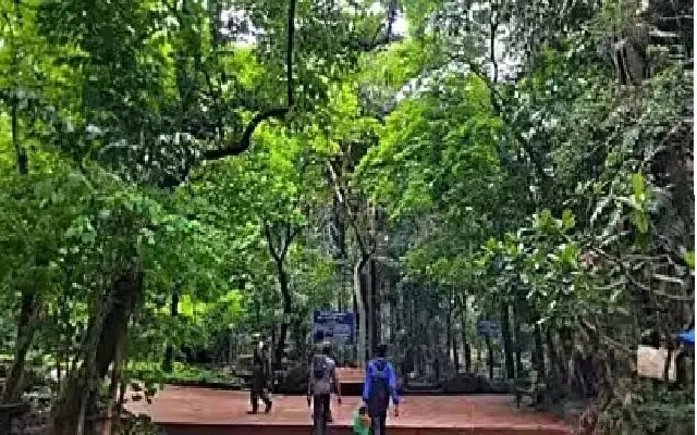 Bengaluru's Forest Department Boosts Revenue and Recovers Encroached Land - News Karnataka