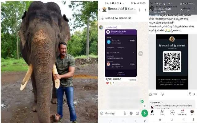 Controversy Surrounds Fundraising for Dasara Elephant Arjun Memorial - News Karnataka