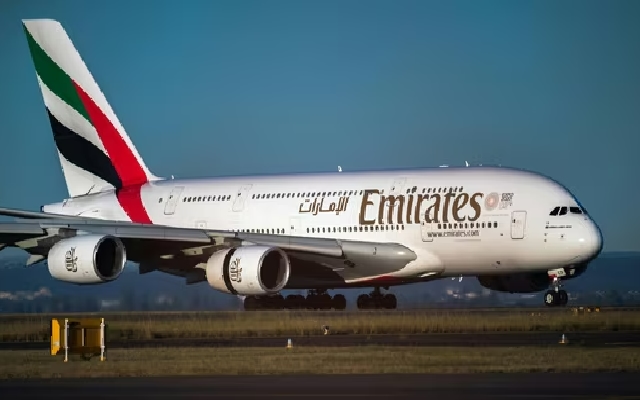 Emirates Flight Strikes Kill 36 Flamingos in Mumbai's Ghatkopar Area - News Karnataka