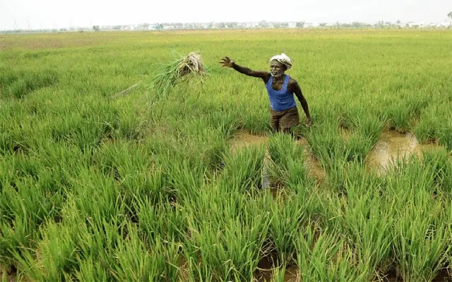 Farmers Optimistic as Hubballi Prepares for Kharif Season - News Karnataka
