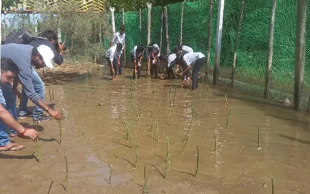 Forest Department Initiates Ambitious Tree Planting Drive in Mangaluru - News Karnataka