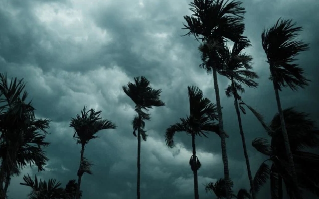Rural-Focused Indian Stocks Rebound as Traders Bet on Strong 2024 Monsoon - News Karnataka