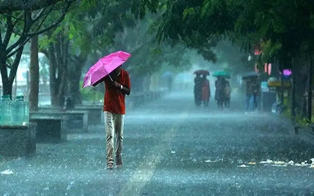 Monsoon Makes Early Move: Kerala to See Rain by May 31 - News Karnataka