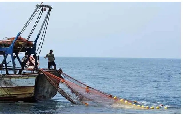 Fishermen in Dakshina Kannada District Grapple with Declining Fish - News Karnataka