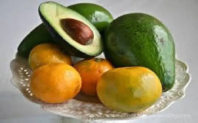 Rise of Avocado Cultivation in Madikeri: Replacement for Coorg Mandarin - News Karnataka