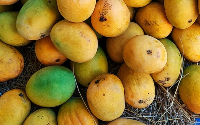 Health Alert: Food Authority Warns Against Use of Calcium Carbide on Fruits - News Karnataka