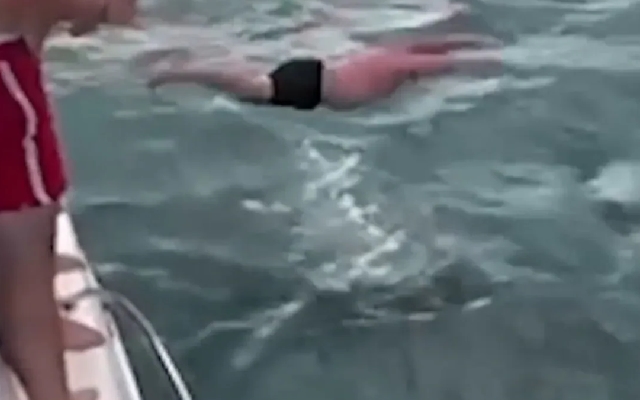 Man Criticized for Reckless Stunt Near Orcas in New Zealand - News Karnataka