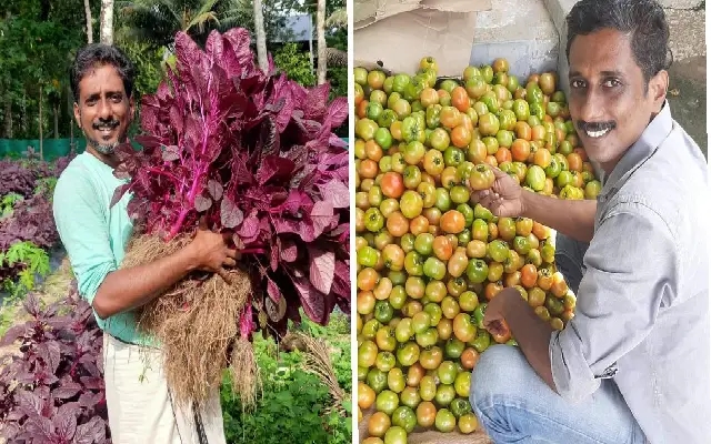 Pallikal's Organic Market: A Growing Success in Kerala - News Karnataka