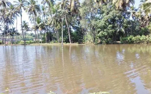 Severe Weather Ravages Byndoor Area: Damage and Disruption - News Karnataka