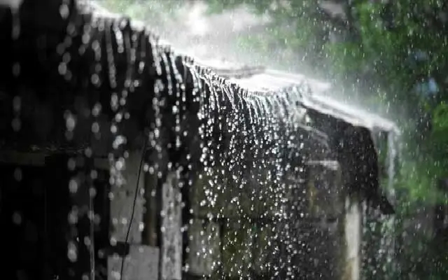 Southwest Monsoon Expected to Weaken Upon Entry into Kerala - News Karnataka