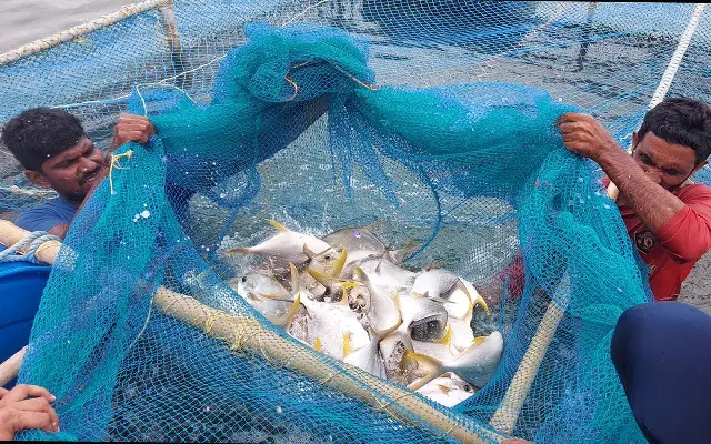 Successful Demonstration of Integrated Multitrophic Aquaculture in Udupi - News Karnataka
