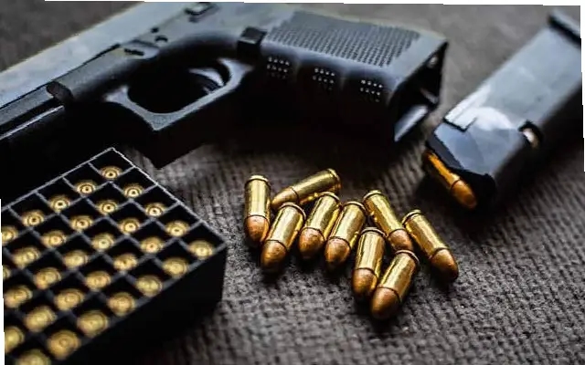 Two Keralites Arrested in Mangaluru for Illegal Firearms Possession - News Karnataka