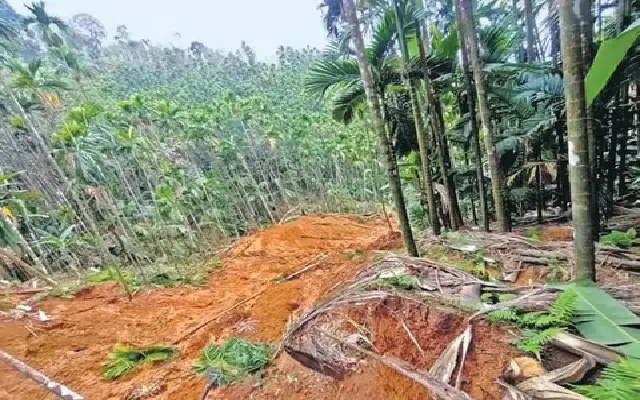Urgent Concern: Destruction of Soil Hills Threatens Ecological Balance - News Karnataka