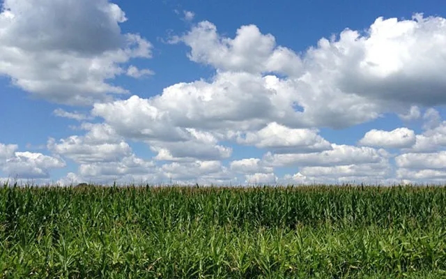 Weather Risk Can Move Markets: How Stock Traders Look at Climate Forecasts - News Karnataka