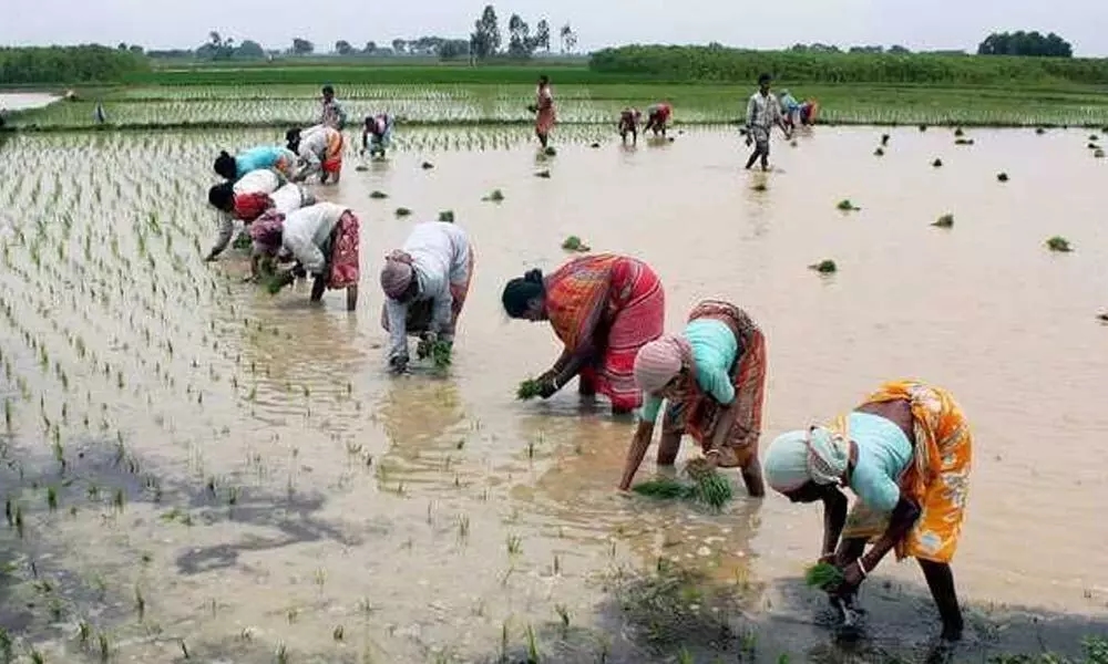 State Farmers' Association Criticizes Karnataka Government's Policies - News Karnataka