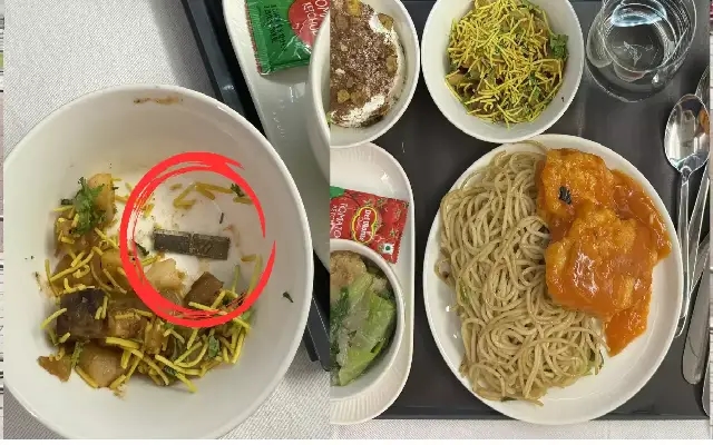 Air India Passenger Finds Sharp Metal Object in In-Flight Meal - News Karnataka