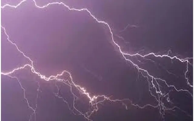 Animals Killed as Rainfall and Lightning Strikes Bijapur - News Karnataka