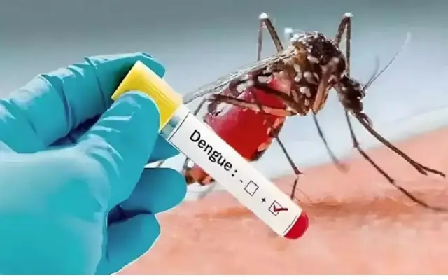 BBMP Launched Micro Plan to Control Dengue in City - News Karnataka