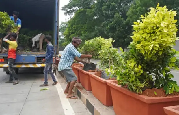 Bengaluru's Green Initiative: Two Lakh Saplings to be Planted by Students - News Karnataka