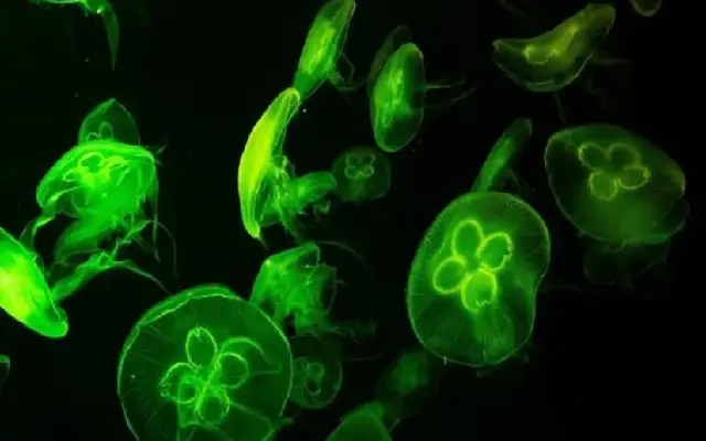 Cholera Outbreak Confirmed in Tumakuru District, 7 Dead, Over 100 Affected - News Karnataka
