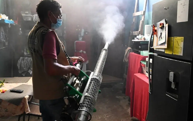 Climate Change Fuels Mosquito-Borne Disease Surge in Europe - News Karnataka