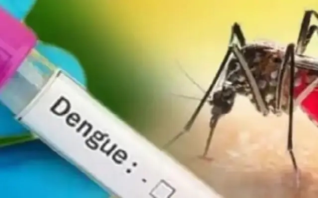 Dengue Cases Surge in Bengaluru and Hyderabad Amid Monsoon - News Karnataka