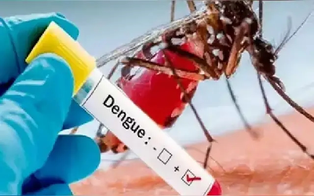Dengue Outbreak Raises Alarm in Shivamogga as Monsoon Season Arrives - News Karnataka