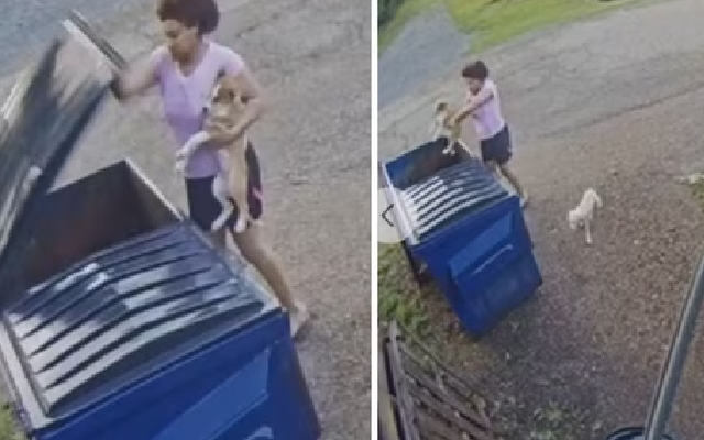Woman Arrested for Dumping Puppies in Viral Video; Dogs Rescued by Neighbor - News Karnataka