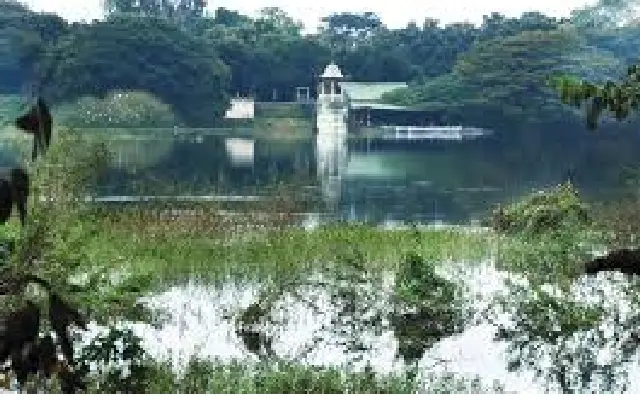 Efforts to Mitigate Sewage Pollution in Mysuru Lakes - News Karnataka