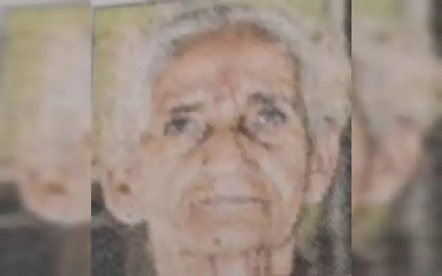 Elderly Woman Dies from Snake Bite in Sullia Village - News Karnataka
