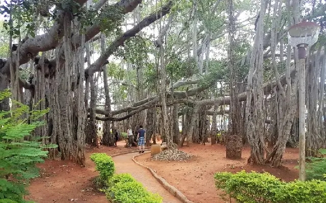 Real Estate Paradises in Karnataka: Mysuru Road to Big Banyan Tree - News Karnataka