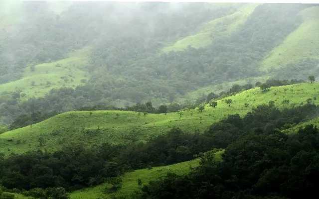 Environmentalists Oppose New Trek Routes in Kudremukh Wildlife Area - News Karnataka