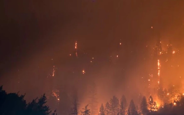 Wildfire on Greek Island Hydra: 13 Arrested for Yacht Fireworks Incident - News Karnataka