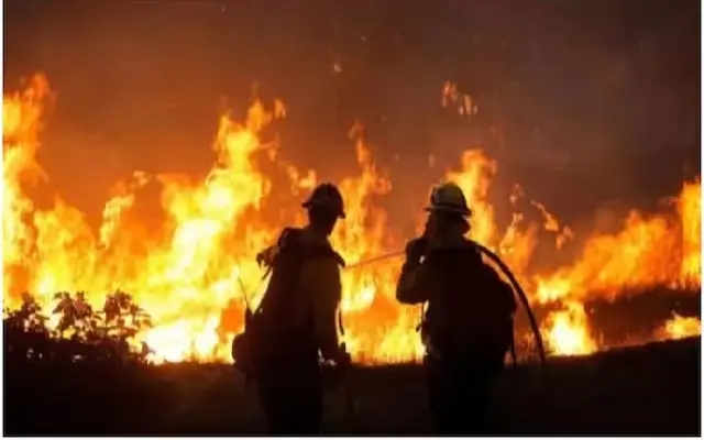 Fire Breaks Out at Car Accessories Shop Near Bondel Circle - News Karnataka