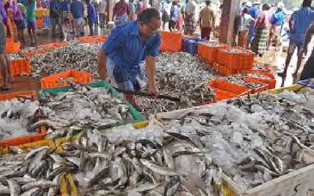 Fish Theft Case Shakes Karkala Fish Market, Prompts Action - News Karnataka